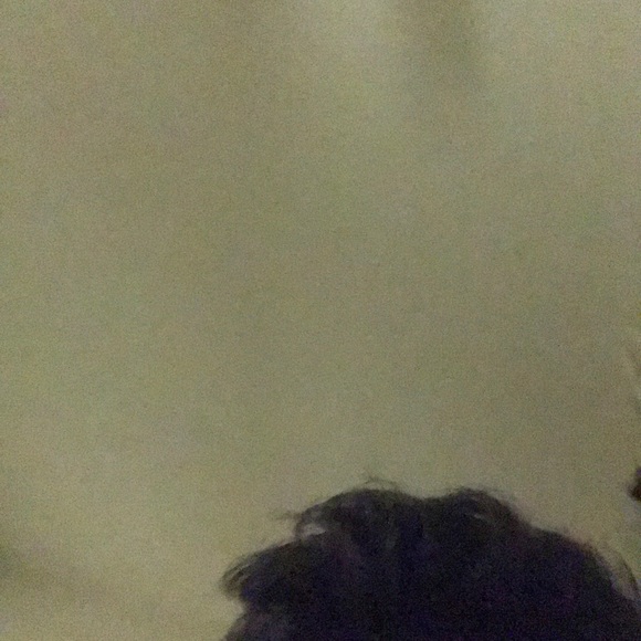 Meet your Posher, Abraham - Picture 1 of 1